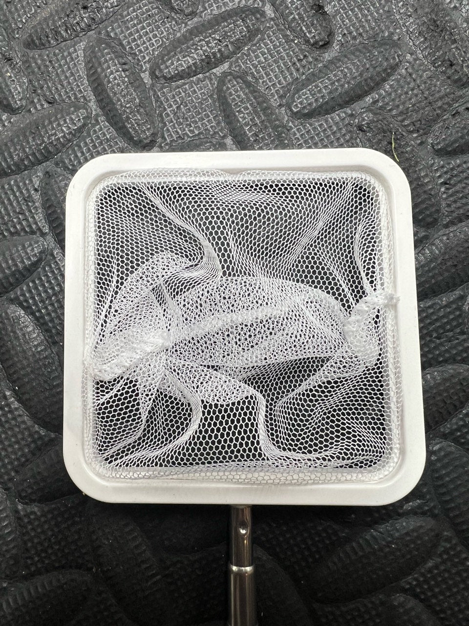 Telescoping Nano Net