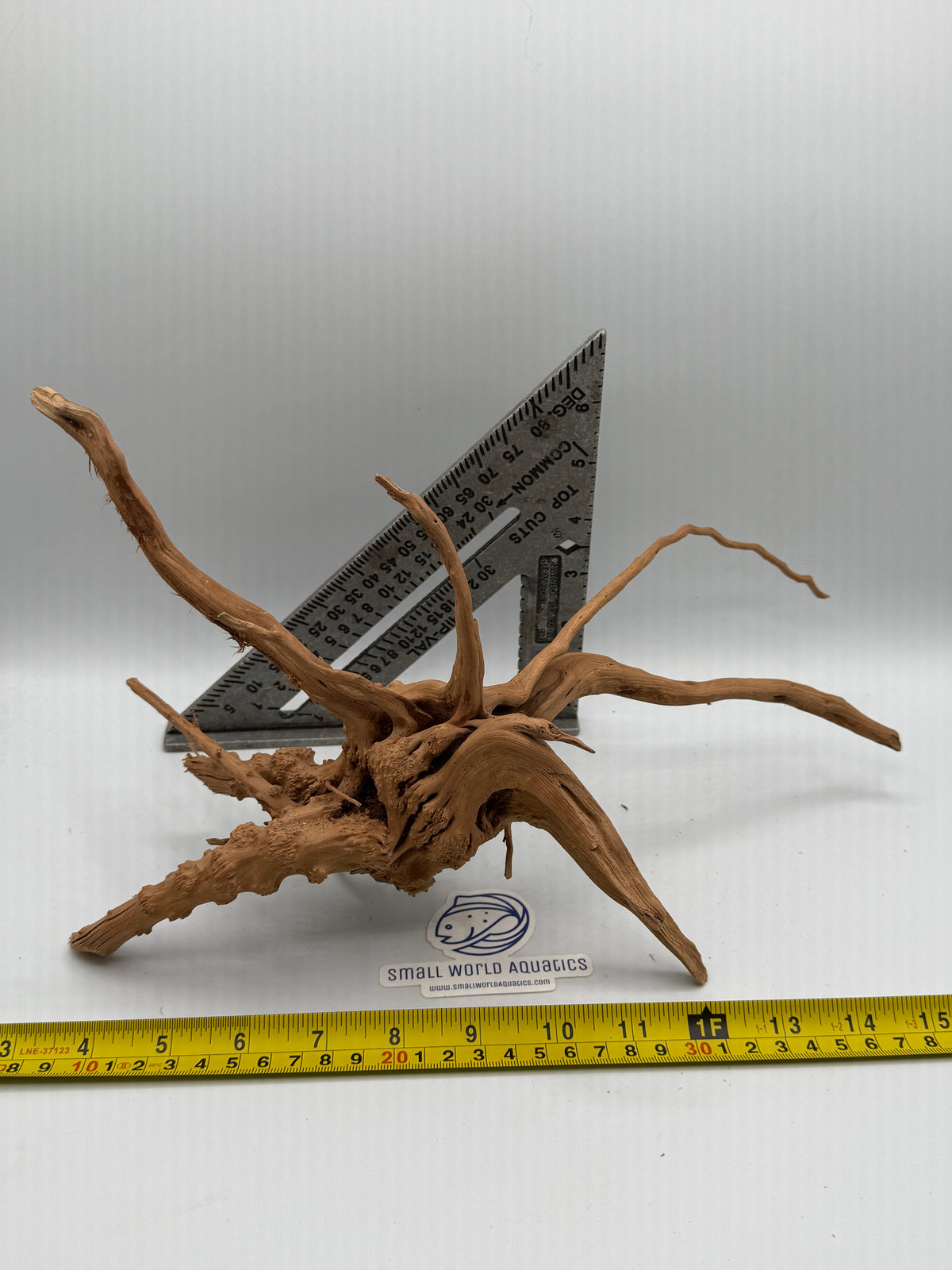 Spiderwood (sp004) - WYSIWYG