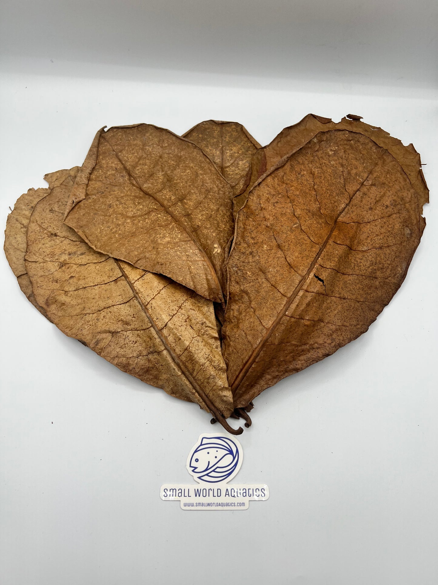 Indian Almond Leaves