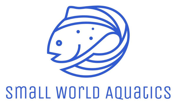 Small World Aquatics