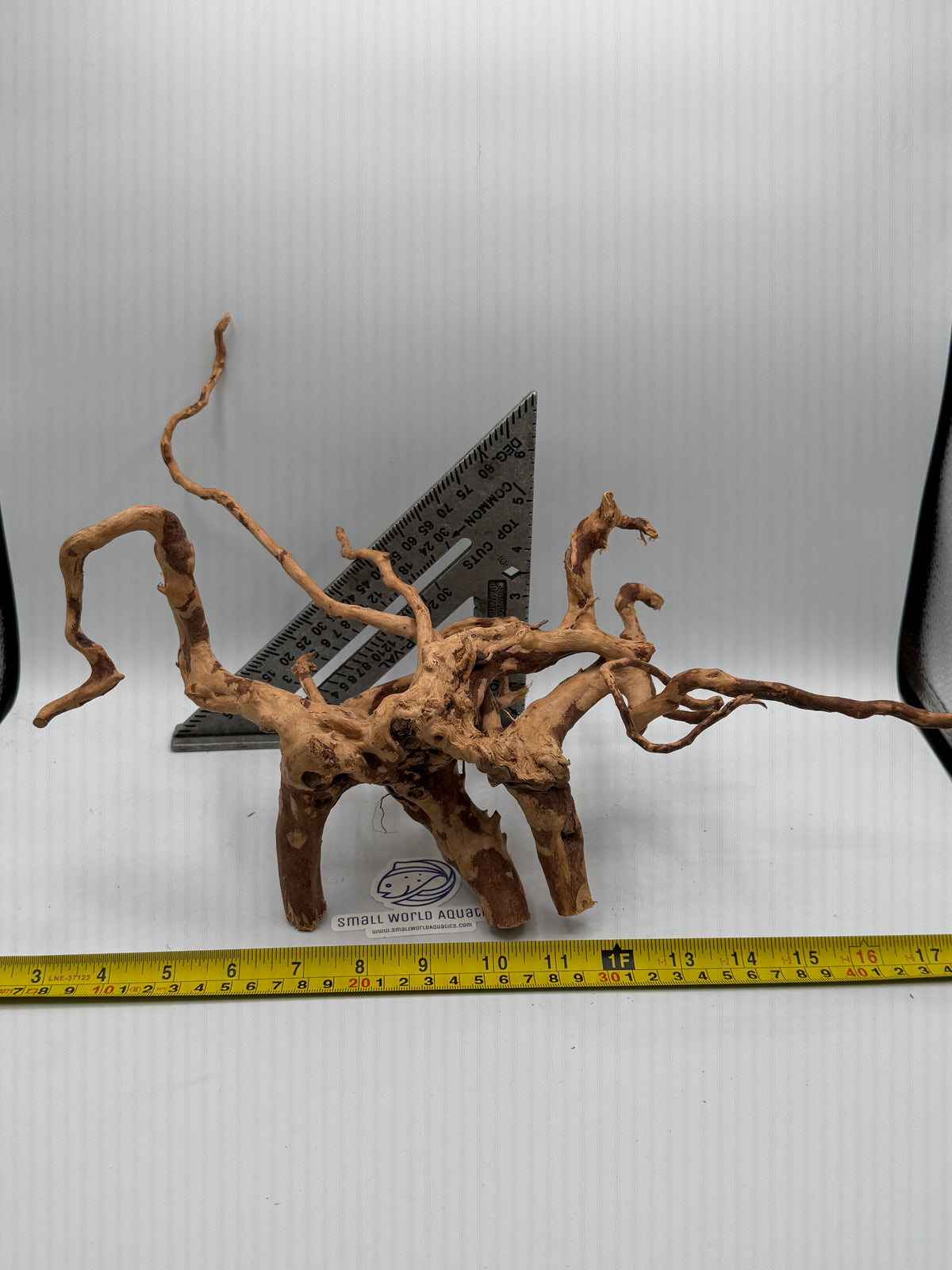 Spiderwood (sp005) - WYSIWYG