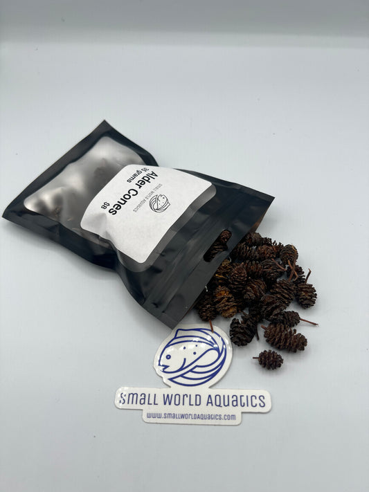 Alder Cones